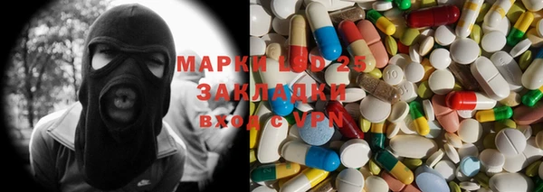 хмурый Аркадак