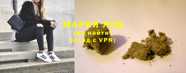 хмурый Аркадак