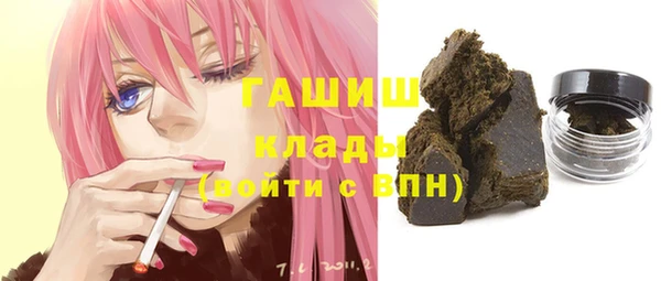 хмурый Аркадак