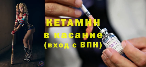 хмурый Аркадак