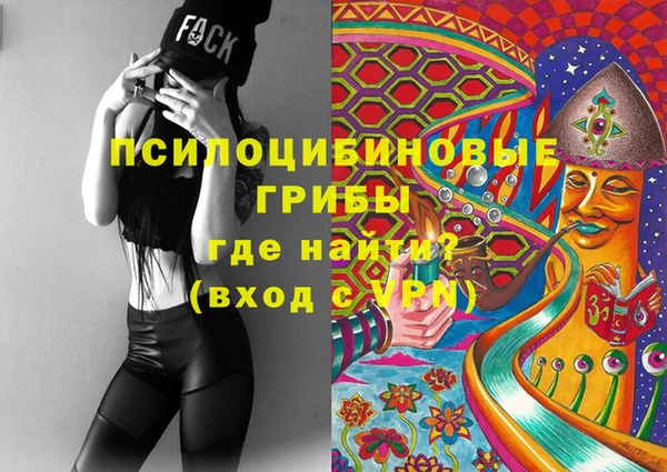 хмурый Аркадак