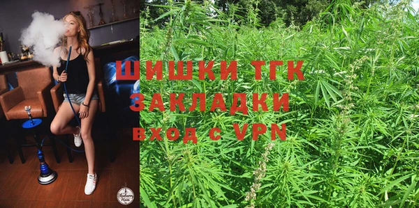 хмурый Аркадак