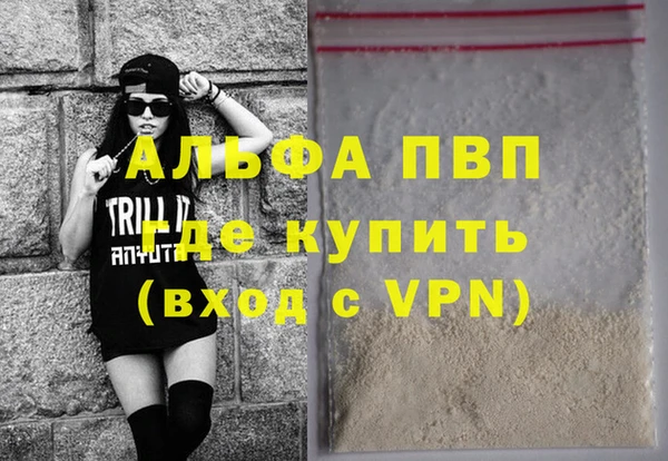 индика Алексин