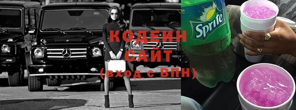 хмурый Аркадак